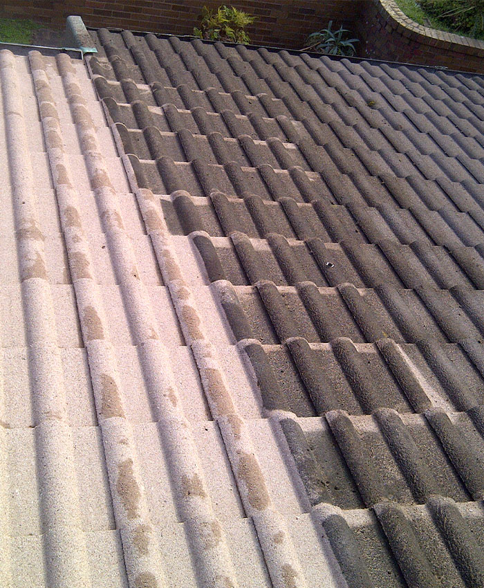 Nettoyage et demoussage de toiture à Neuilly-sur-Seine (92200) dans les Hauts-de-Seine